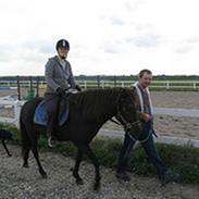 Islænder FREISTING FRA BRUDKILDE