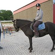 Islænder FREISTING FRA BRUDKILDE