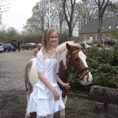 Anden særlig race Mr. Mulle<3 - Solgt :(