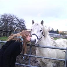 Anden særlig race Oscar<3 *Passer*!