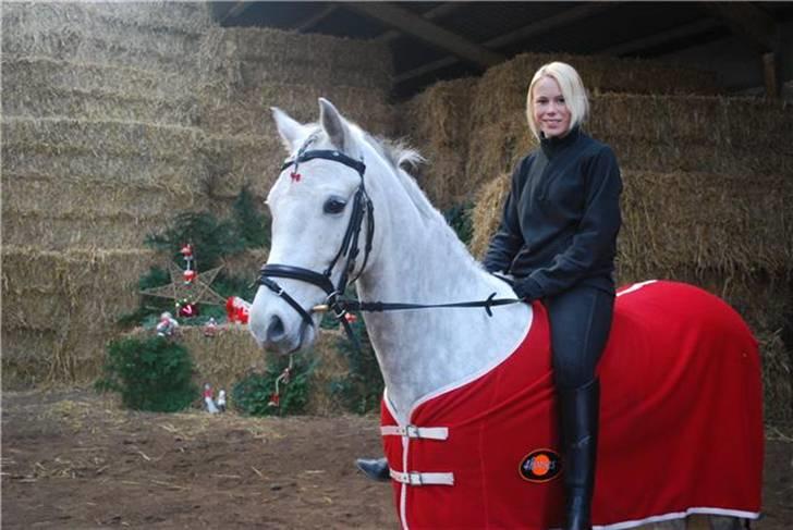 DSP Holmgaards Galant Solgt - Julehygge med Kallemand:D<3 billede 19