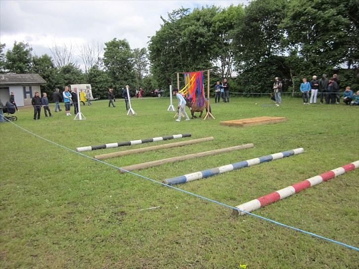 Shetlænder Prins (lillesøsters) - Prins og jeg til agilety på 4H Dyrskue hvor vi går gennem stofstrimler, lørdag d. 19. juni :)    billede 11