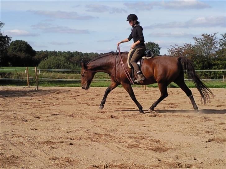 Holstener Marko billede 9