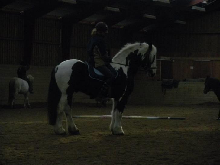 Barockpinto Big Ben R.I.P - Min hest der går lidt dressur :) billede 7