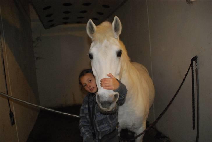 Anden særlig race Sussi<3 :] - hygge på staldgangen :] billede 2