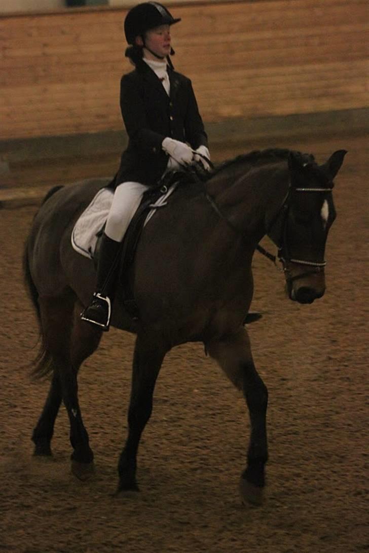 DSP Jason - Fra stævnet i SØR...Fotograf Anne Krogh billede 1