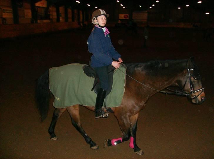 DSP Jason - Fridressur på Sør billede 5