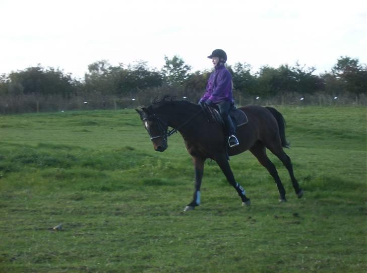 DSP Jason - Da jeg prøvede ham billede 6