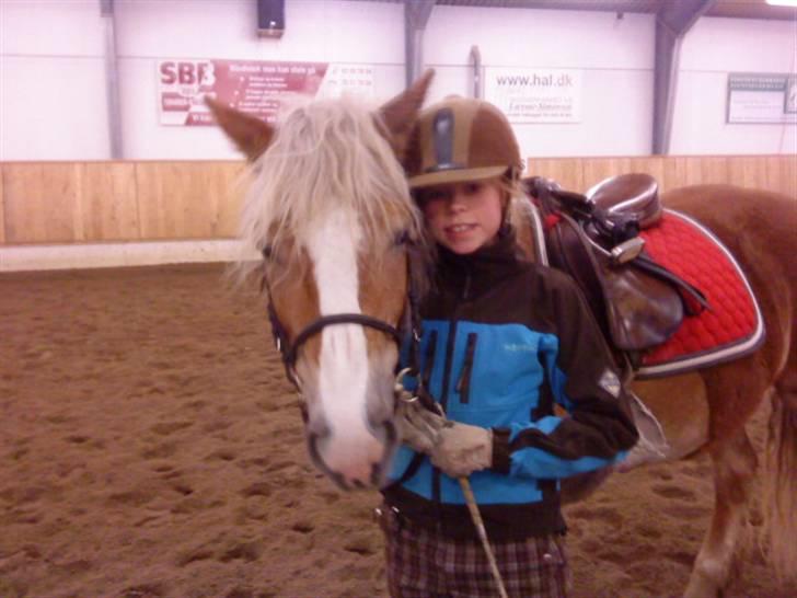 Haflinger Betti SOLGT! billede 10