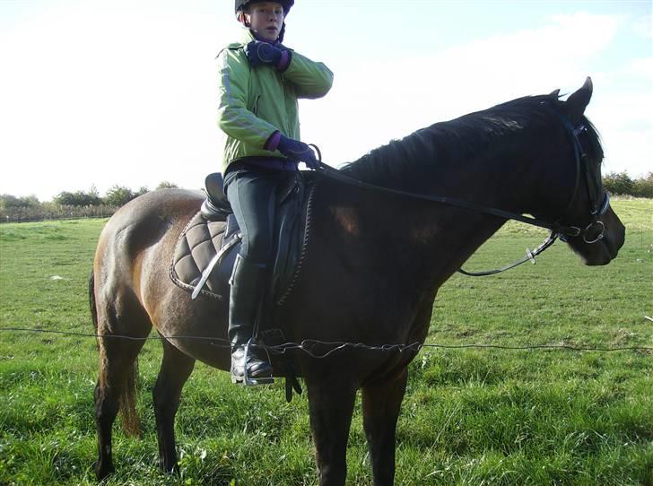 DSP Jason - Prøve Jason billede 10