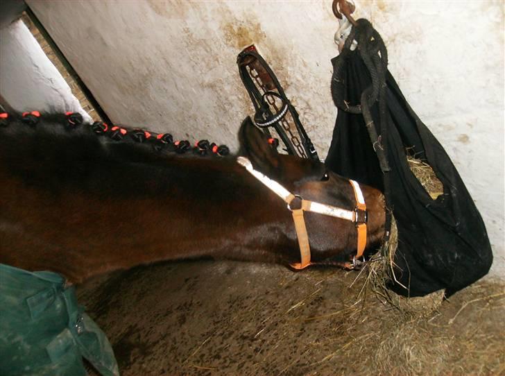 DSP Jason - Julestævne i Sundeved billede 11