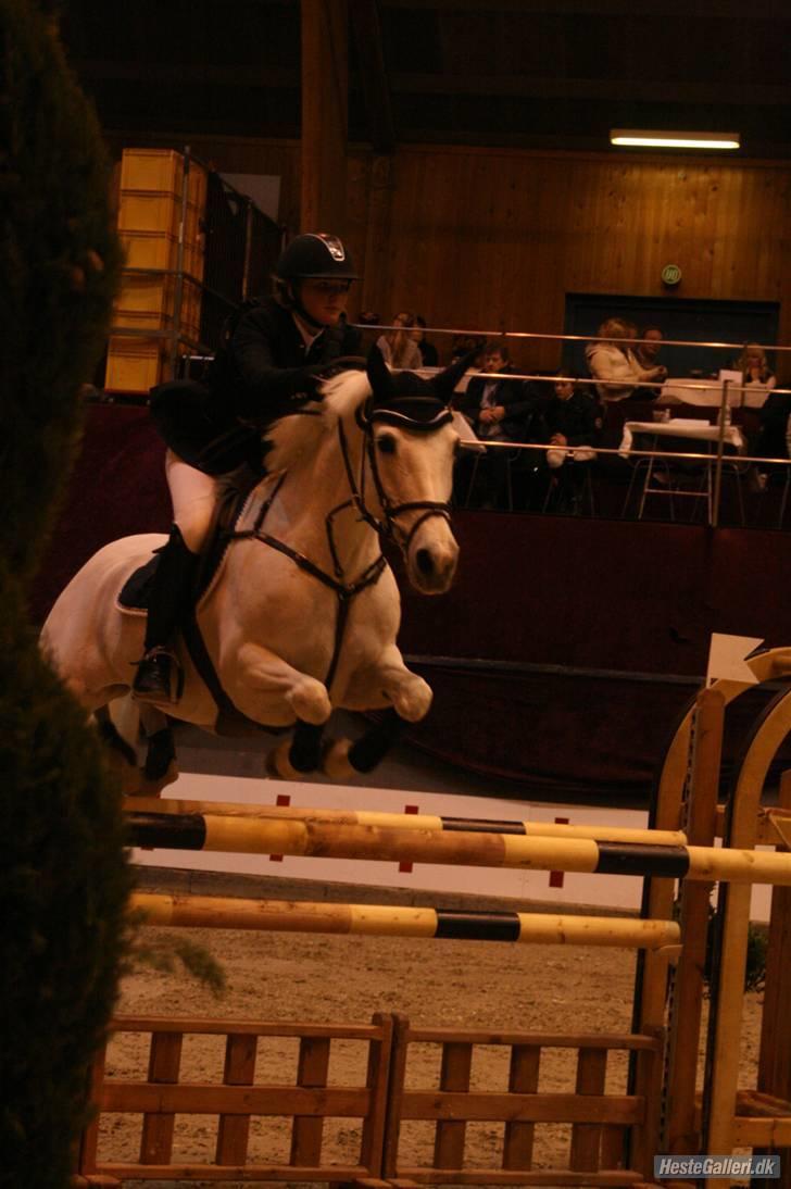 Connemara Wilhelmina Z*STJERNEPONY* - Stjerne pony! Tak Ditte billede 19