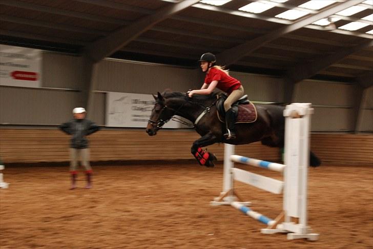 Anden særlig race Thyra - Til undervisning ved Julie. Hun gik skide godt<3... Foto: Mathilde billede 17
