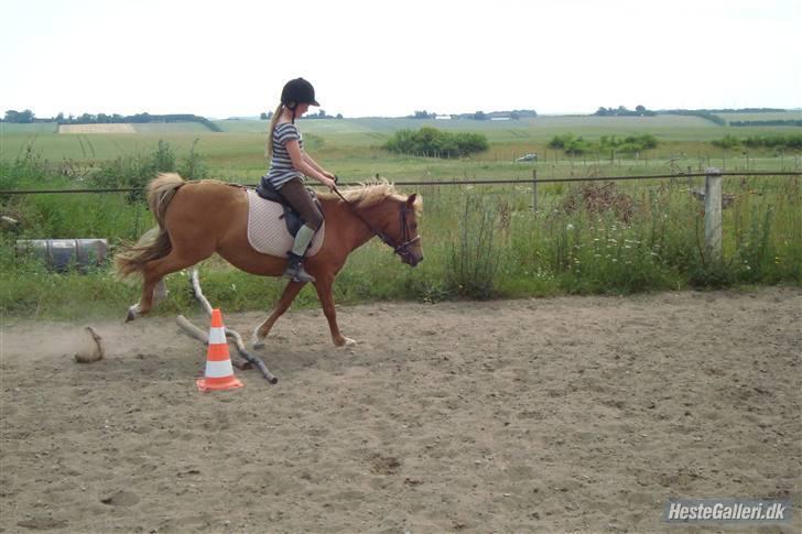 Anden særlig race Rosa* Linda h's * - Minni spring :) Foto: Ditte R billede 16