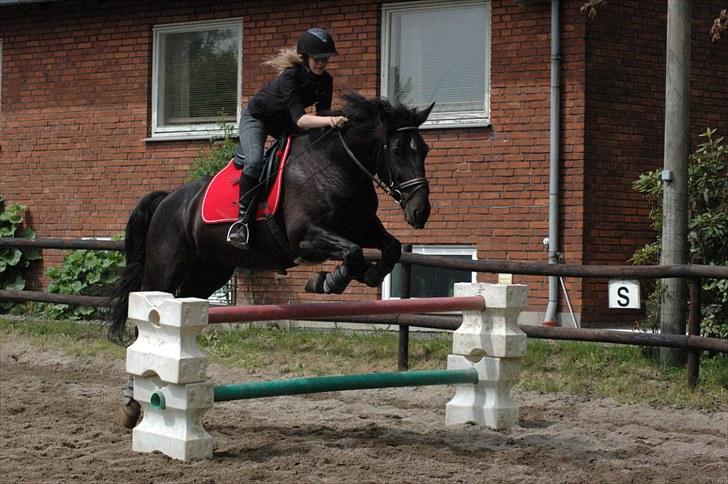 Oldenborg Asterix Pizziricco *MIN ENGEL<3* - 6 år - Maj 2010 *Foto: Louise* billede 46