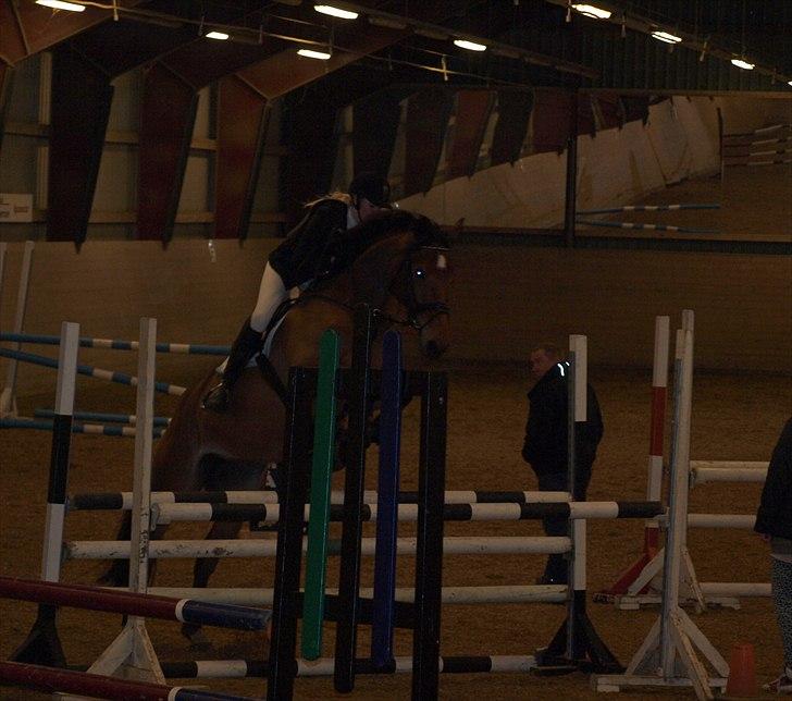 Anden særlig race Sunshine - Sunshine og jeg i LC i Hammerum, dygtig hest! :-) d. 13 februar 2011. Foto: Julie Mølgaard Jensen billede 13