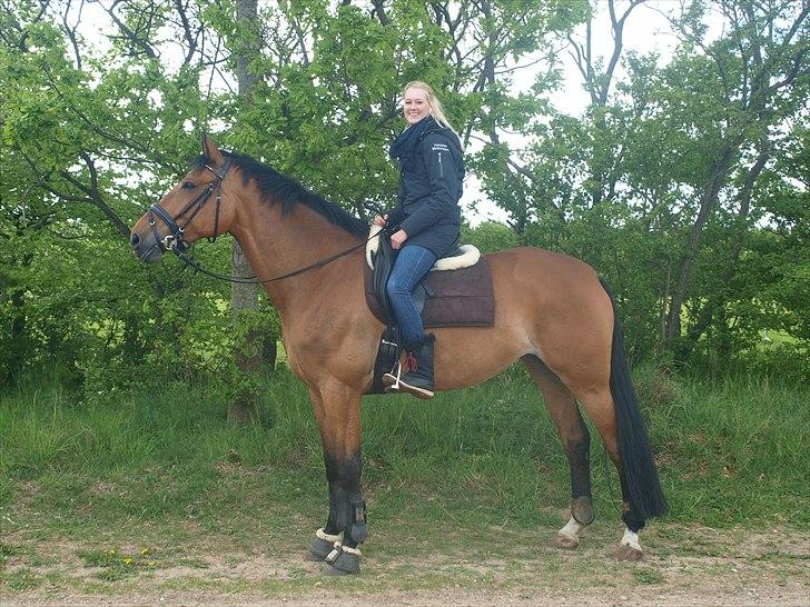 Anden særlig race Sunshine - Solskin og jeg hygger d. 15 maj 2011 Foto: Julie.  billede 14