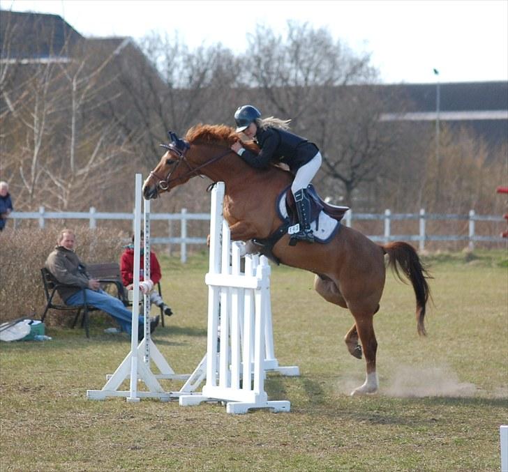 Anden særlig race MR.BOMBASTICK - Hehe når afstanden lige kikser.. super Basse;) billede 13