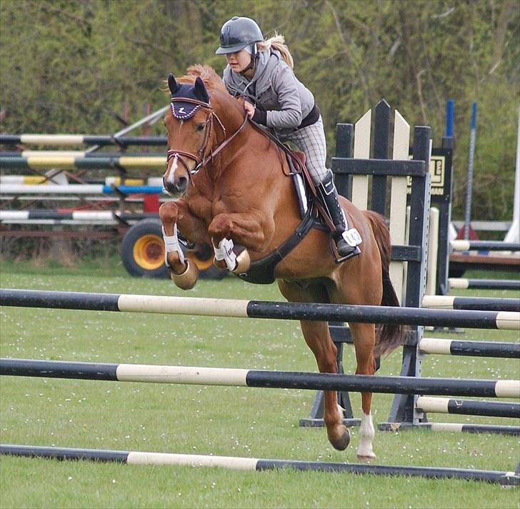 Anden særlig race MR.BOMBASTICK - træningsdag i HJR:) billede 17