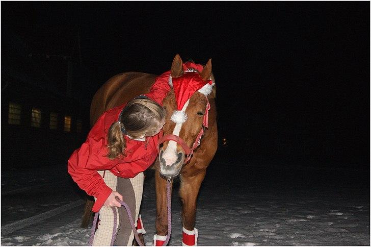 Hollandsk Sportspony Danja R.I.P. <3 - I sneen, Danja får en måser. :-* Foto: Nadine Haxgart. billede 17