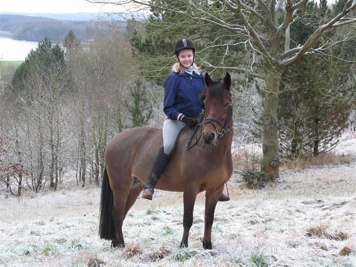 DSP Anton  billede 18