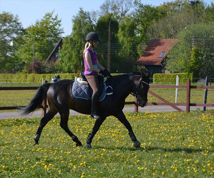 Anden særlig race ~Calypso~ <3 elsket & savnet ! - Der er ingen der er perfekte, men der er nogen der er perfekte for hinanden. billede 18