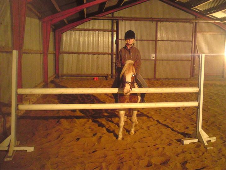 Anden særlig race Mr. Mulle<3 - Solgt :( - Mig og Mulles næsthøjeste rekord (: 105 cm i det lille ridehus, men vi har sprunget 110... Han kan bare det der :D (Fotograf: Dorrit) billede 12
