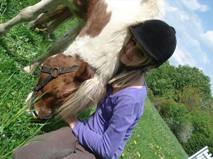 Anden særlig race Mr. Mulle<3 - Solgt :( - Hygge græsse efter ridning (: Elsker dig lille Mulle <3 (: ( Fotograf: Marlene) billede 13