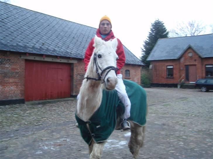 Anden særlig race Sir Bastian Tidl. hest - 13/12-09: på vej på tur - en af mine venner som skulle prøve ham. billede 4