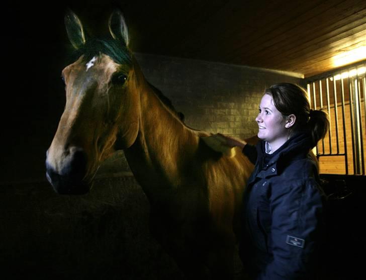 Dansk Varmblod Ibiza M R.I.P billede 14