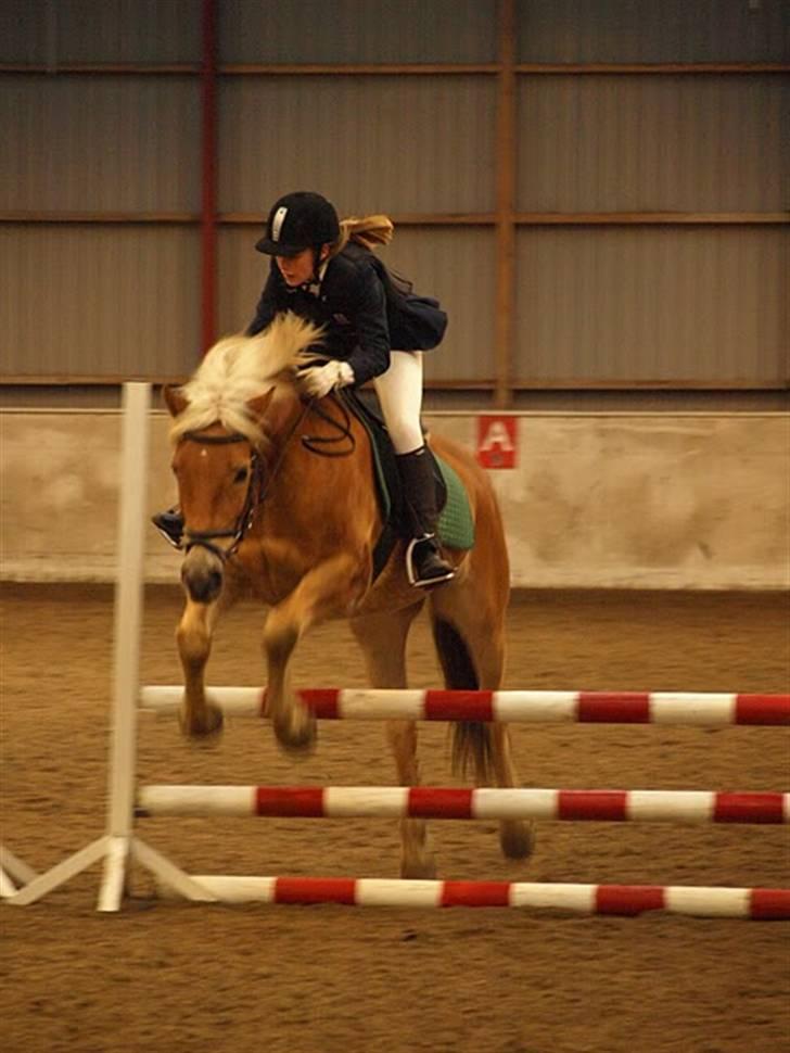 Haflinger Thor (red) Solgt  - Ihh jeg er så glad for at jeg må springe med dig du er så dygtig og jeg elsker at springe;) MAN MÅ IKKE KOPIRE MINE BILLEDER!!  billede 9