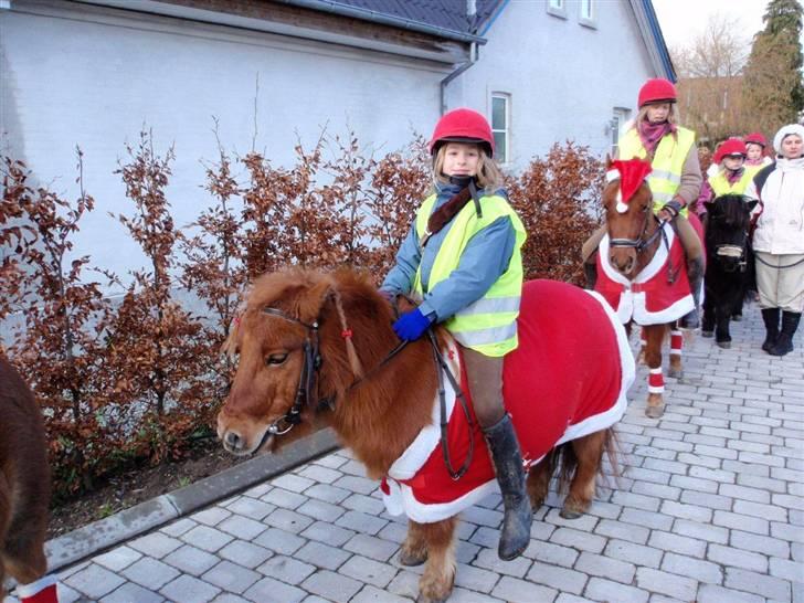 Anden særlig race Mikkel -  - smil mikkel!! billede 9