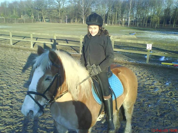 Haflinger Heraues. Gl. passer - Hego og jeg<3 Nr. 5 billede 5