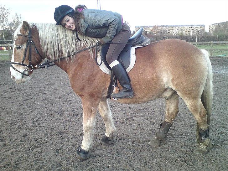 Haflinger Heraues. Gl. passer - Hygge <3  Nr. 7  billede 7