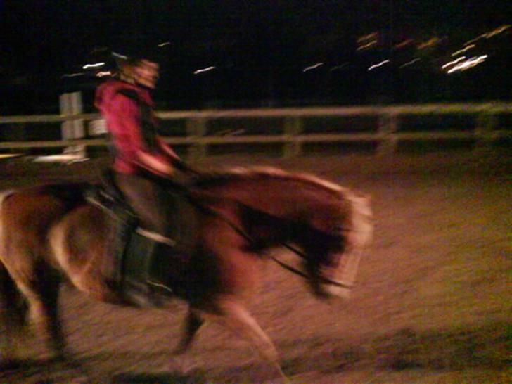 Haflinger Heraues. Gl. passer - Hego og jeg der går til bidet :) <3 Nr. 9  billede 9