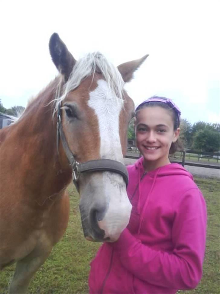 Haflinger Heraues. Gl. passer - Heraues og miig :) <3 Nr. 14  billede 14