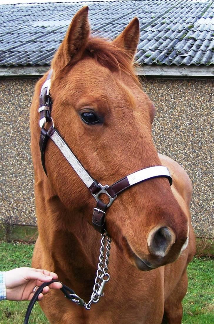 Quarter You Turn DK billede 1