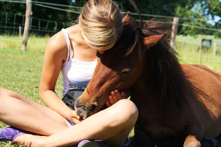 Shetlænder Prins Buski - 19*   Hygge! (´: <3 billede 18