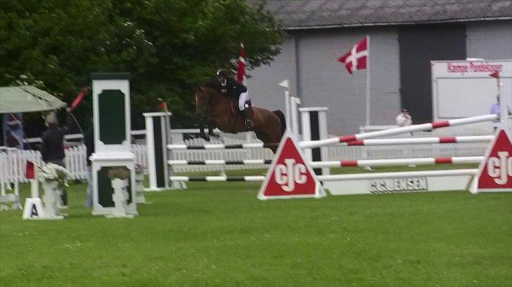 Holstener - Chalien - ULB* 2010 billede 1