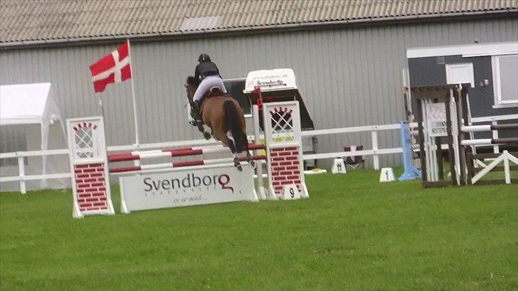 Holstener - Chalien - ULA** 2010 billede 6