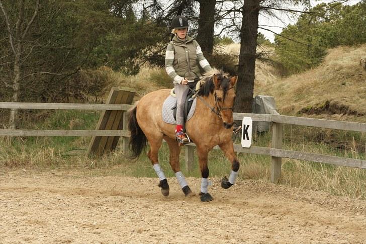Anden særlig race Sunshine R.I.P (cushing) - Taget af : celina billede 3