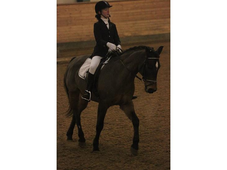 {{currentPhoto.altText}} billede {{currentPhoto.number}}