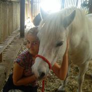 Anden særlig race Mulle