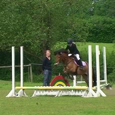 Anden særlig race Buster Larsen <3solgt :.-