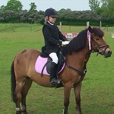 Anden særlig race Buster Larsen <3solgt :.-