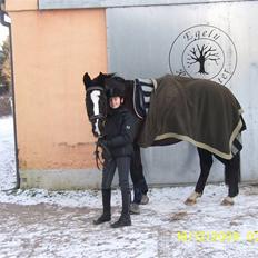 Oldenborg Saskin ( Halvpart)