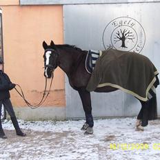 Oldenborg Saskin ( Halvpart)