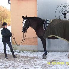 Oldenborg Saskin ( Halvpart)