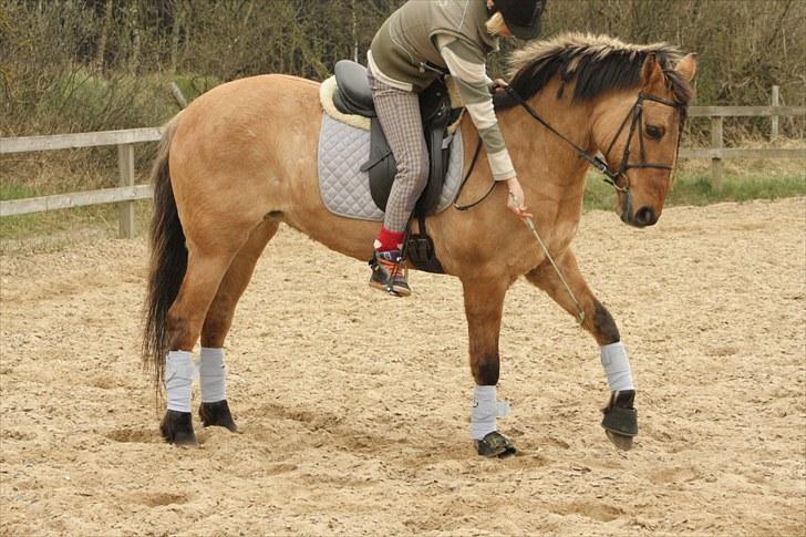 Anden særlig race Sunshine R.I.P (cushing) - Taget af : celina billede 4