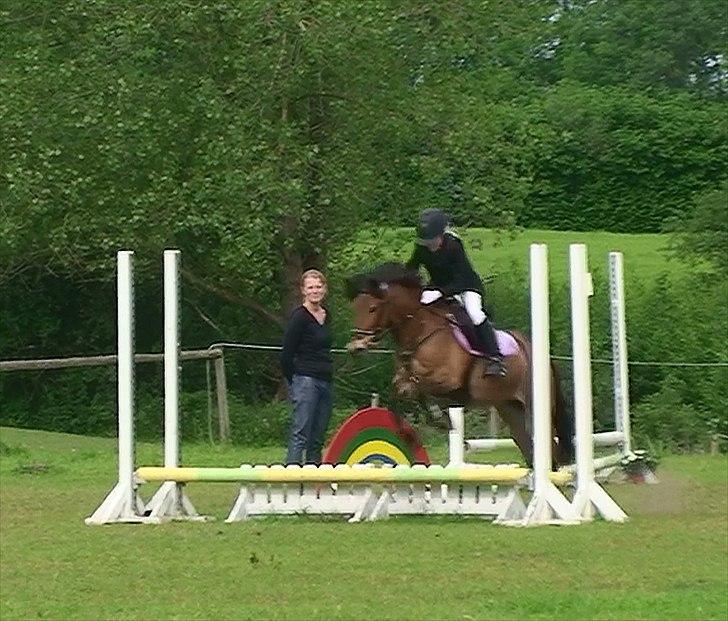 Anden særlig race Buster Larsen <3solgt :.- - stævne i langesø egens vi fik første plads foto min søde mor billede 1